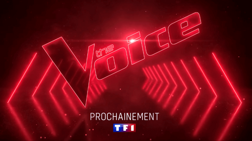 The Voice : les jurés au complet dans une bande-annonce