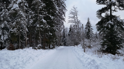 Météo en lorraine : les premières neiges ce mardi dans les Vosges