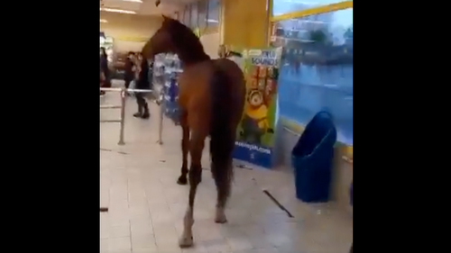 Sardaigne : un cheval s’invite dans un supermarché et sème la...