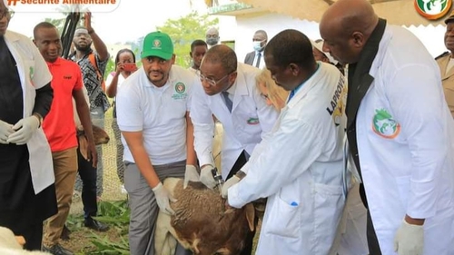 CEDEAO : Sidi Tiemoko Touré lance la campagne  de vaccination...