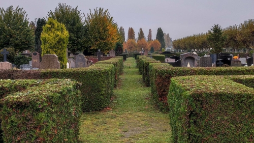 Vents forts : les parcs et cimetières de Strasbourg ferment