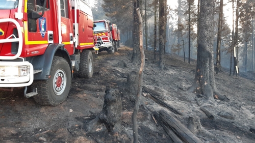 Les Vosges frappé par un important feu de forêt (actualisé)