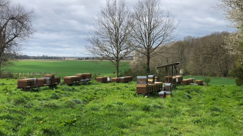 Le Rucher de Cantiers : l’apiculteur de l’Elysée