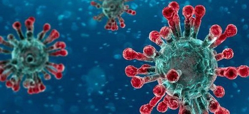 Coronavirus : deux porteurs sains ont séjourné à Blida