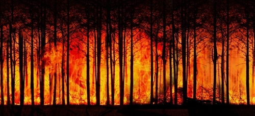 Incendies en Gironde et dans les Landes : les flammes gagnent du...