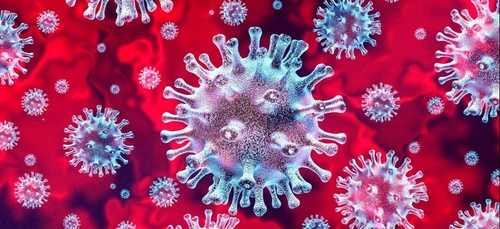 Coronavirus France:  depuis le début de l'épidémie 7.560 personnes...
