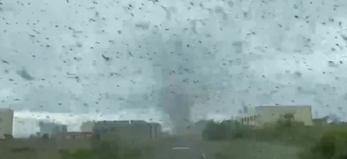 Un village russe victime d'une énorme tornade de moustiques (vidéo)