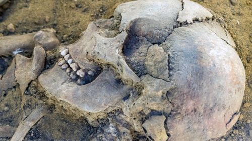 Nantes : des ossements humains découverts sur un chantier