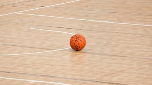 Basket : l'ADA Blois va vivre sa première saison parmi l'élite ! 