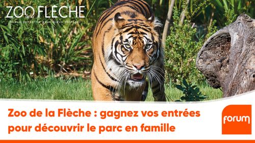 Zoo de la Flèche : gagnez vos entrées pour découvrir le parc en...