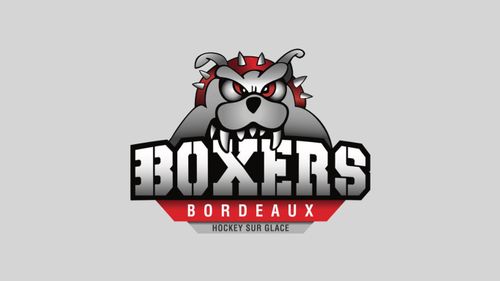 L'actualité des Boxers de Bordeaux