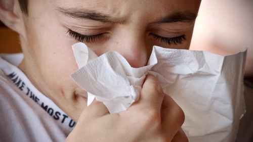 Allergie : Les pollens d'ambroisie de retour dans la région