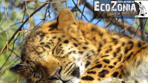 ECOZONIA : le weekend des espèces menacées 