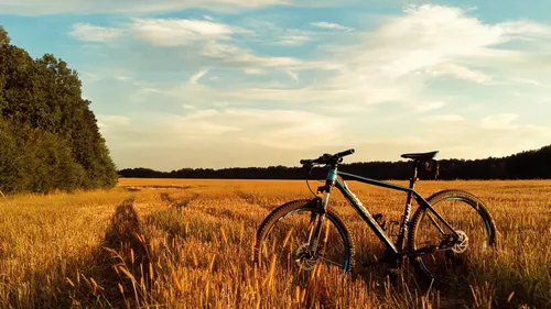Les pépites de l’été :  les meilleures balades à vélo dans le grand...