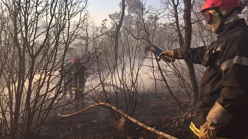 Bretagne : 120 hectares brûlés dans la forêt de Brocéliande, le feu...