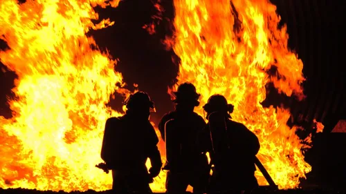 Vienne : 150 hectares détruits suite à plusieurs incendies