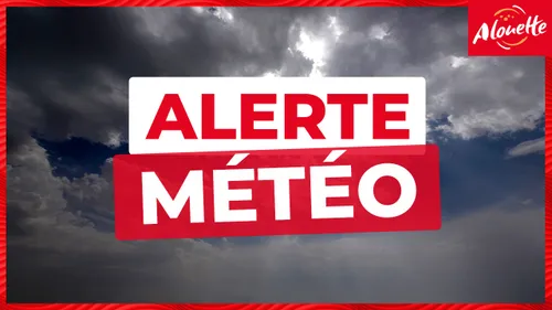Canicule : 4 départements du Centre-Val de Loire en vigilance rouge