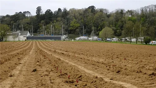 La Bretagne, nouveau vignoble de France ? 