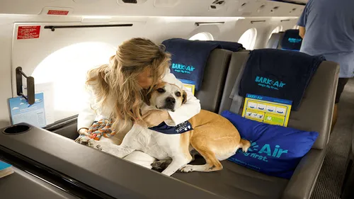 Avec cette compagnie aérienne, votre chien peut voyager en jet privé !