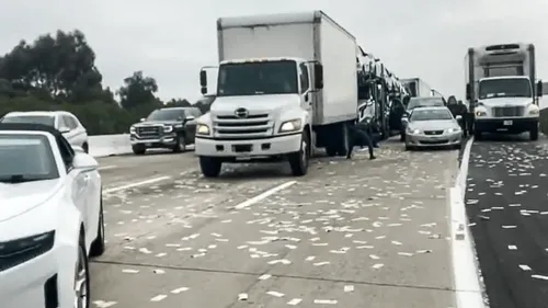 Il jette 200 000 dollars sur la route, les automobilistes se ruent...