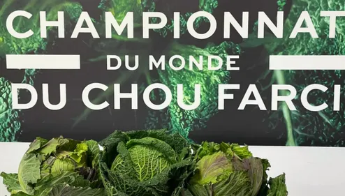 Une championne du monde de chou farci à Limoges !