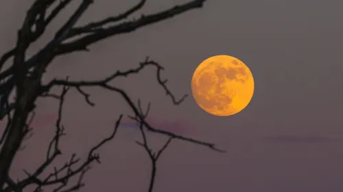 "Lune de sang" : où et quand l'observer ?