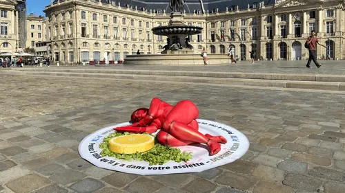 Un homard dans une assiette géante dans le centre-ville de Bordeaux 
