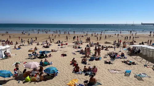 Des nuées d’insectes piquants envahissent des plages de Vendée