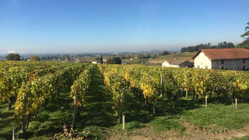 Pesticides et leucémies chez l'enfant : des risques liés à la...