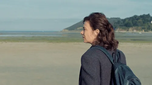 Les algues vertes bretonnes au cœur d'un film