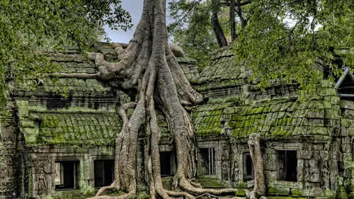 Des vestiges d’une ancienne civilisation retrouvés en Amazonie 