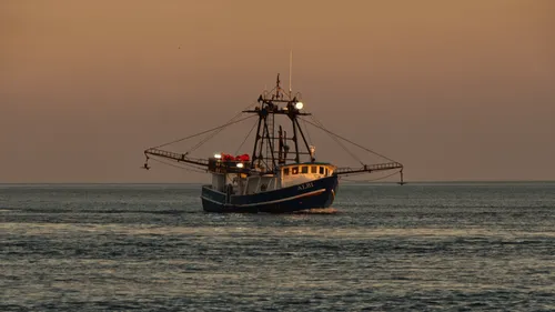 L’éolien en mer et la pêche peuvent cohabiter selon une vaste étude...