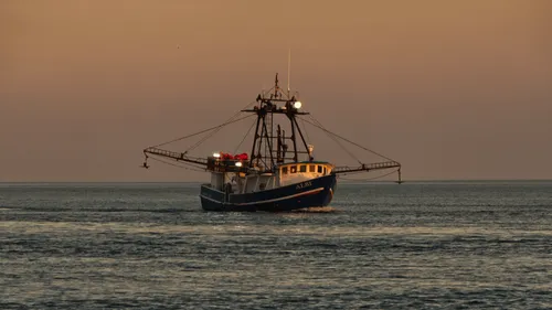 L’éolien en mer et la pêche peuvent cohabiter selon une vaste étude...