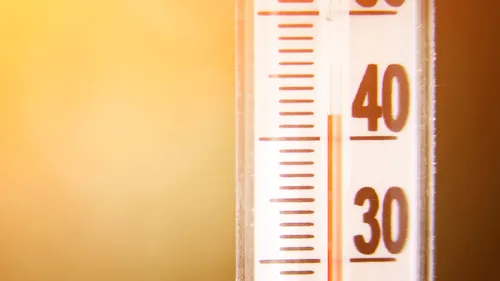 Chaleur : jusqu’à 39 degrés attendus ce lundi en Poitou-Charentes