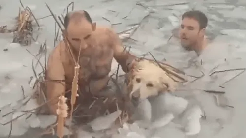 Espagne : des policiers plongent dans l'eau glacée pour sauver un...