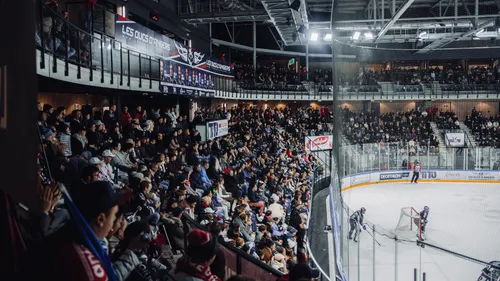 Hockey sur glace : les Ducs d'Angers en finale des playoffs !