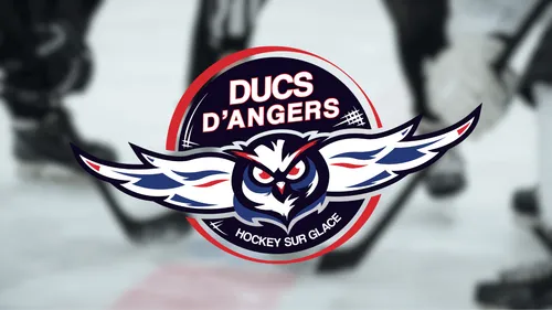 Gagnez vos places pour le match entre les Ducs d'Angers et les...