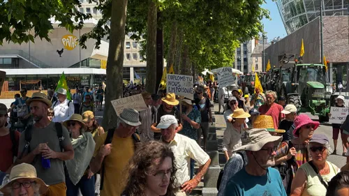 "C'est une loi mortifère pour les paysans", plus de 500...