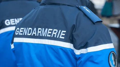 Contre les pyromanes, Darmanin promet "3.000 postes de gendarmes...