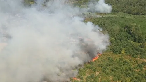 Gironde : l’incendie de Landiras débouche sur un non-lieu