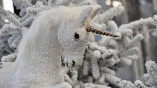 Une fillette reçoit un permis pour élever une licorne