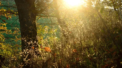 2021, un court répit dans le réchauffement climatique en France,...