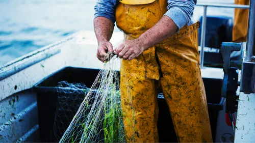 La justice confirme une interdiction de pêche dans le golfe de...