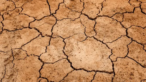 États-Unis : la sécheresse du lac Mead dévoile des squelettes de...