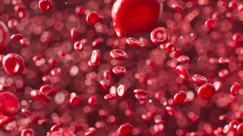 Des microplastiques détectés dans du sang humain, une première,...
