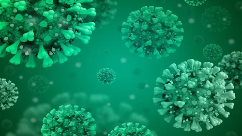 Un niveau virus découvert en Chine !