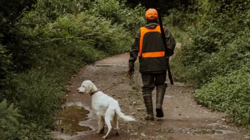 Un homme de 66 ans tué dans un accident de chasse