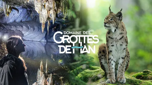 Gagnez vos entrées pour les Grottes de Han sur RVM