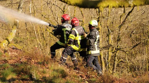 Plusieurs lances ont été nécessaires