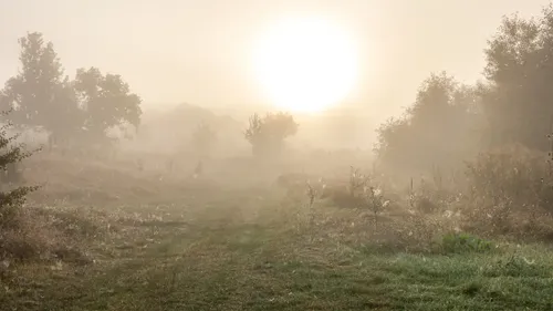 Pollution : vigilance rouge ce week-end dans la région
